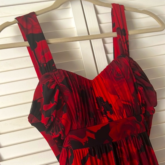 Red & Black Rose Dress - Picture 3 of 4